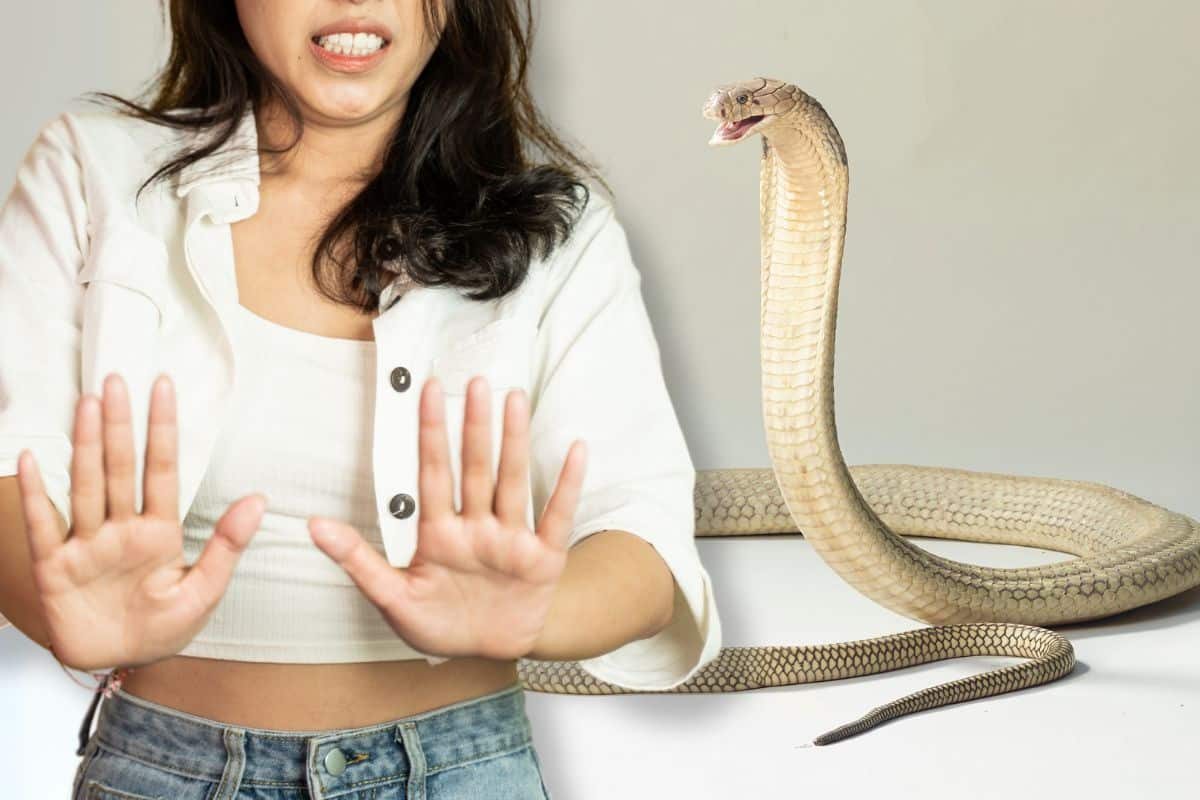 Donna impaurita dal serpente