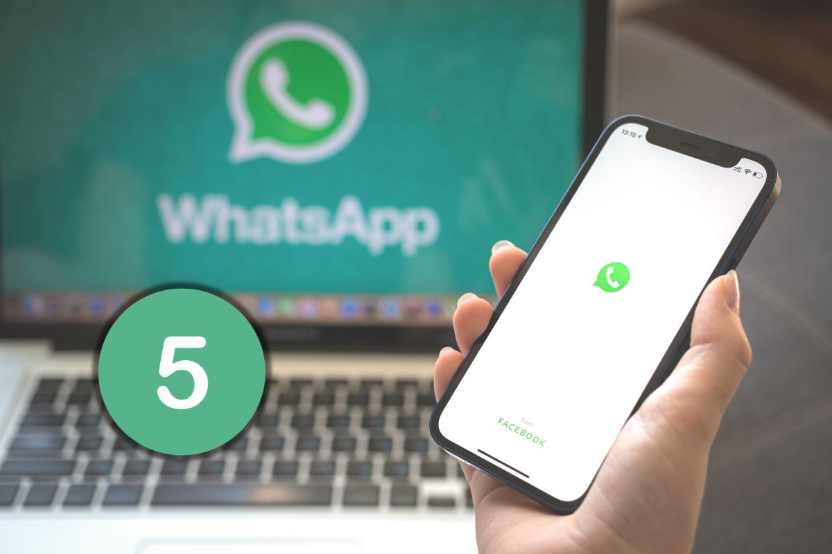 Whatsapp e numero chat