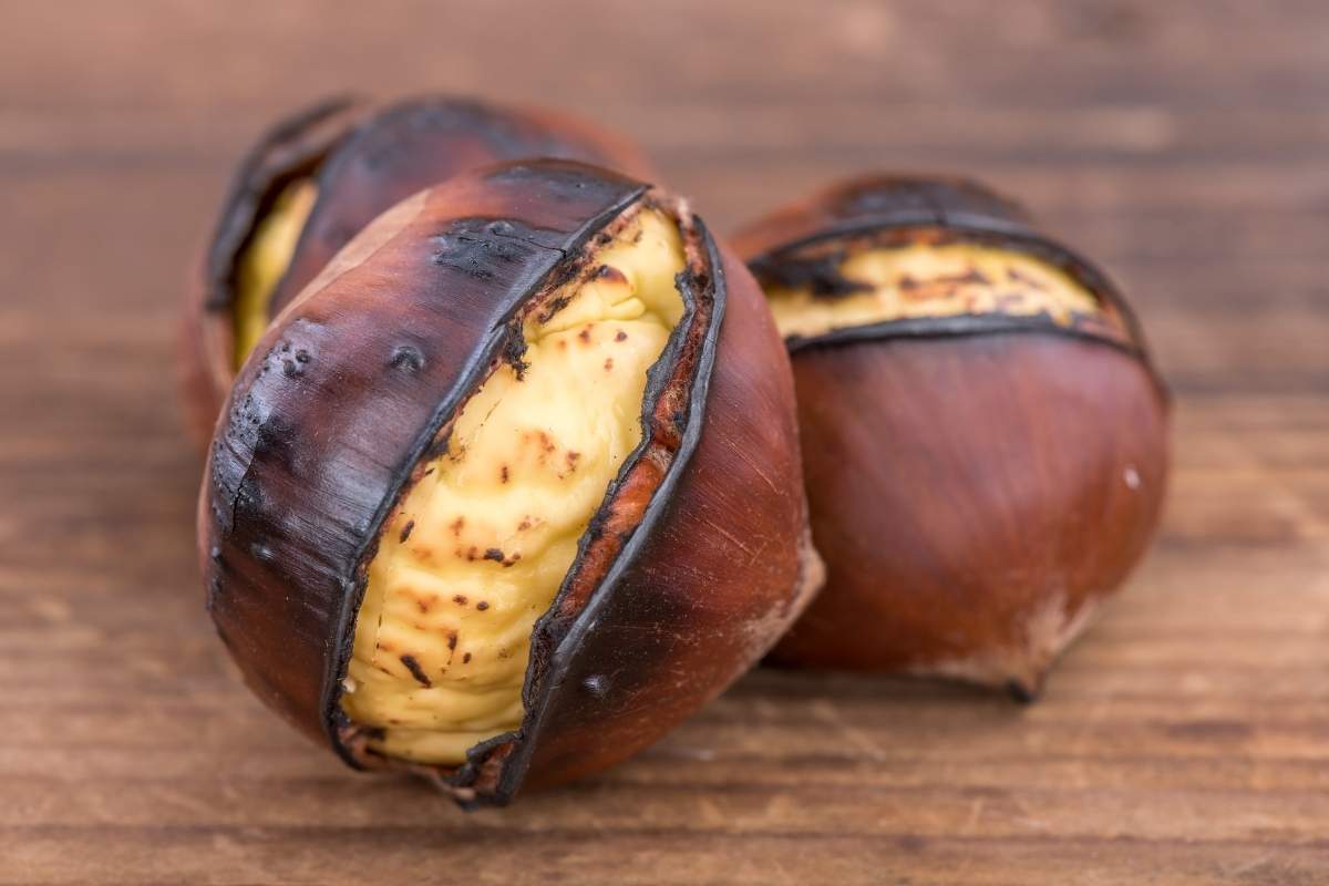 castagne come riconoscere le sane 