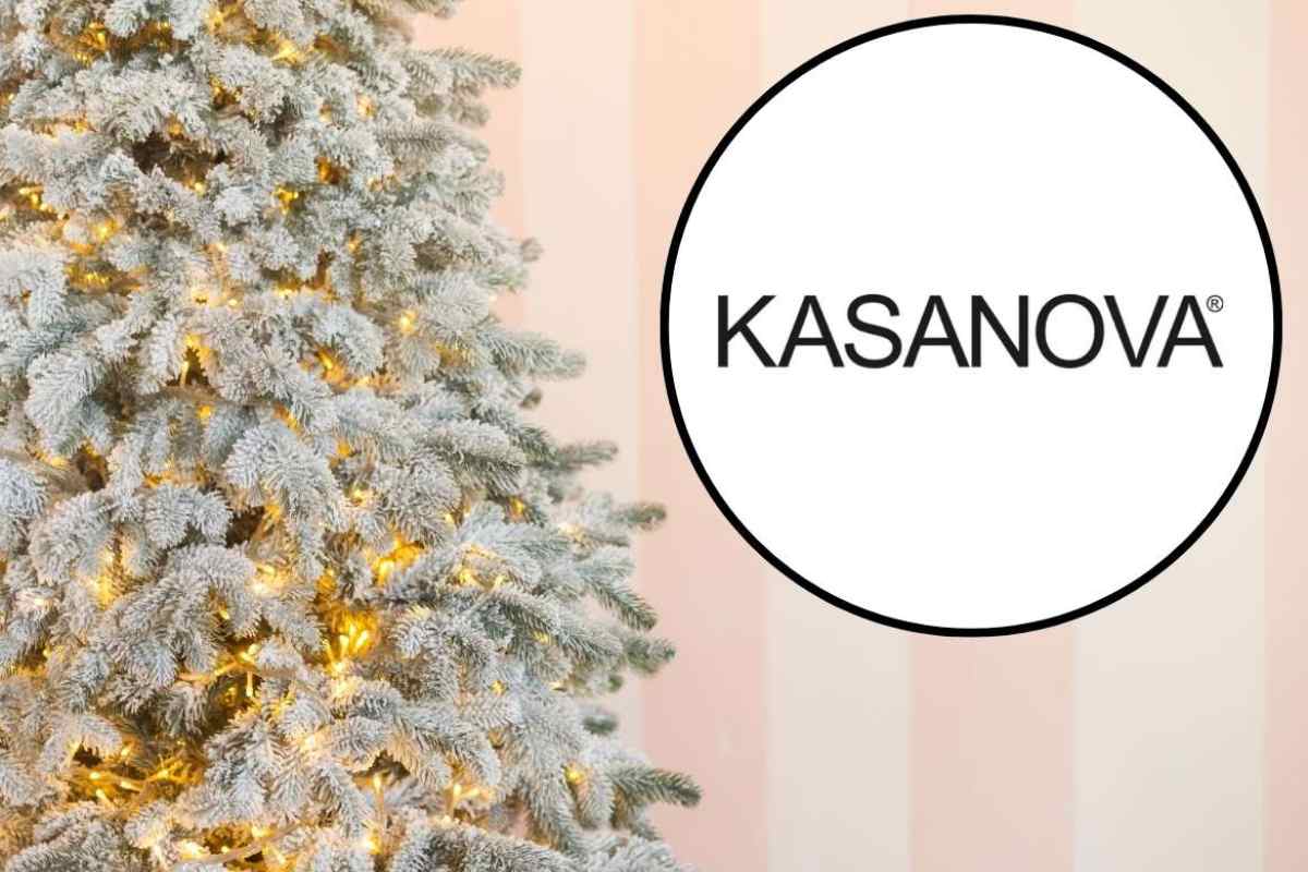 logo kasanova e albero di natale