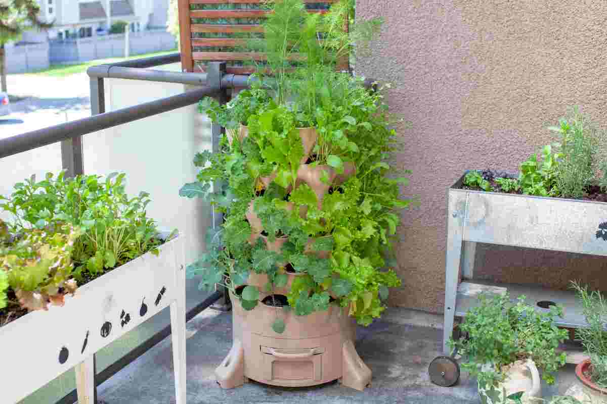 orto sul balcone come farlo in inverno per risparmiare